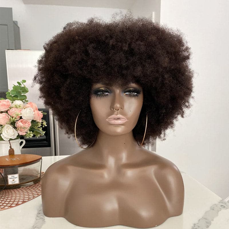 4C Afro 13x6 Lace Front Wig with Bangs