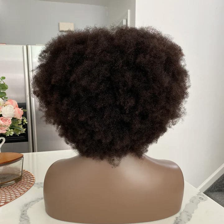4C Afro 13x6 Lace Front Wig with Bangs - Image 2